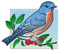 Chapter of the Tennessee Bluebird Society