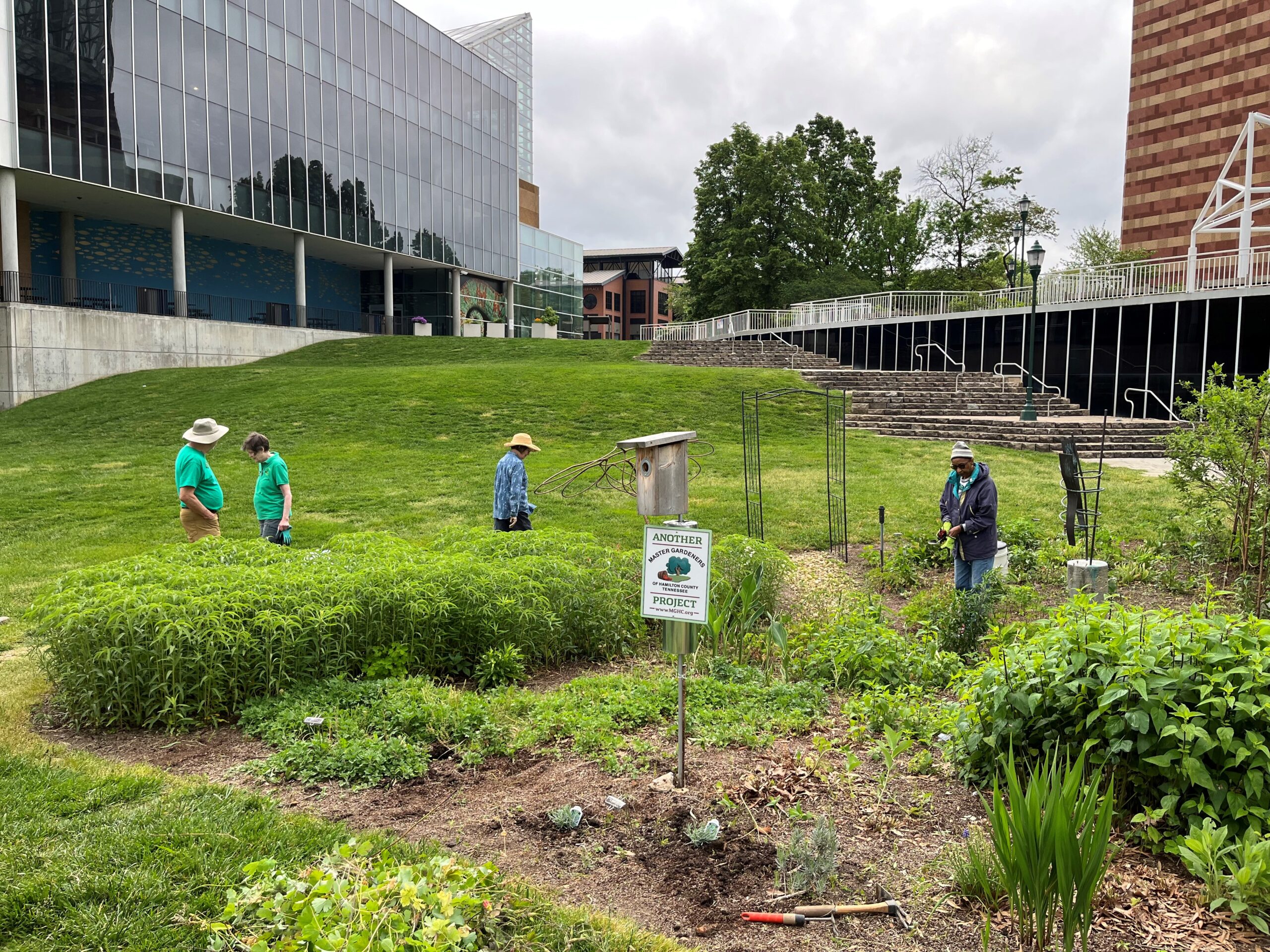 Aquarium rain garden