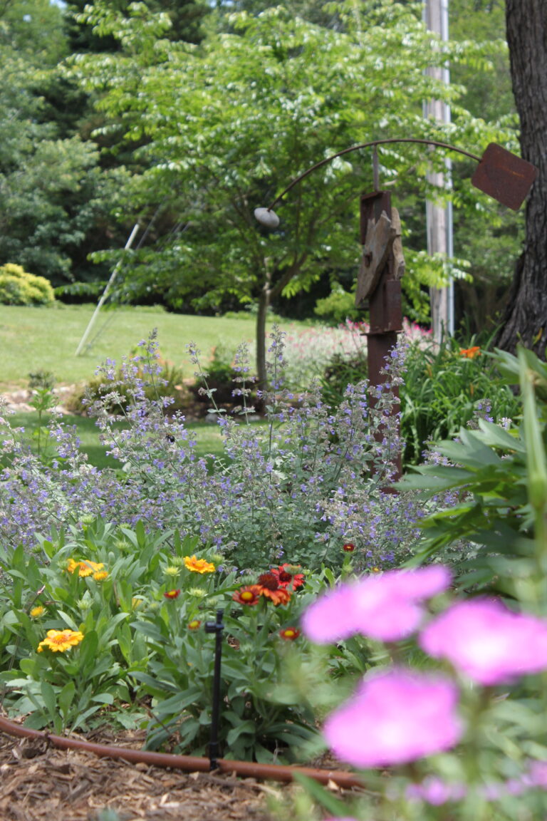 Diane Shelly - Master Gardeners of Hamilton County